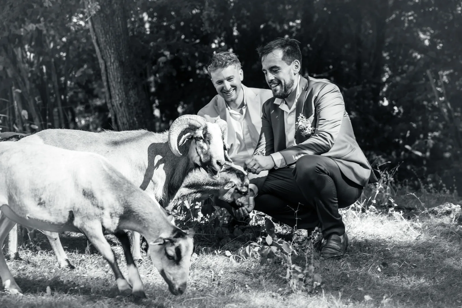 Le mariage dont personne ne pensait qu'il était possible — mariage C. & S. à Armeau (89) (photo 11)